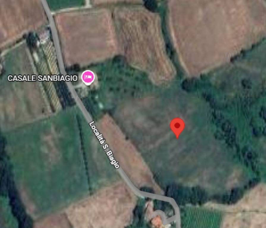 immagine annuncio 9 di 11