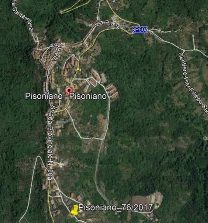 immagine annuncio 10 di 14