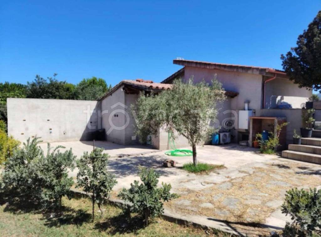 immagine annuncio 9 di 11