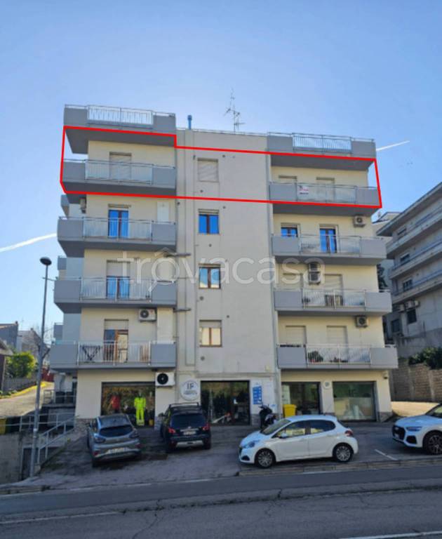 immagine annuncio 2 di 12