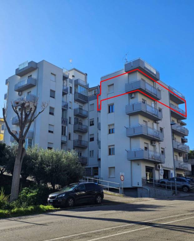 immagine annuncio 3 di 12