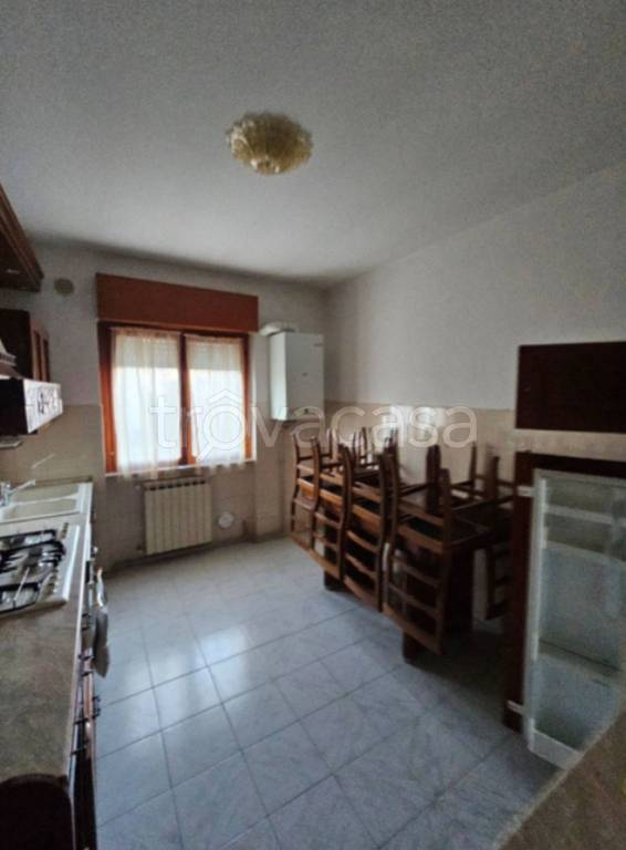 immagine annuncio 7 di 12