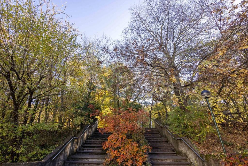 immagine annuncio 9 di 13