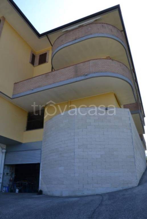 immagine annuncio 3 di 11