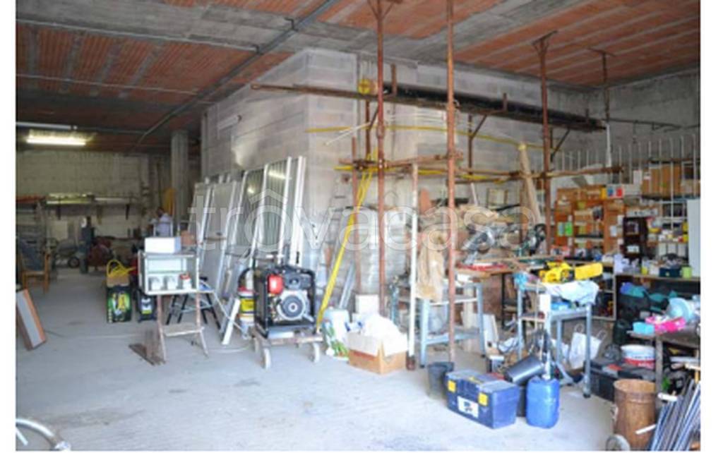 immagine annuncio 8 di 11