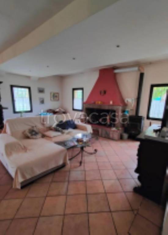 immagine annuncio 6 di 14