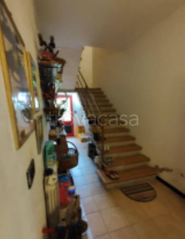 immagine annuncio 7 di 14