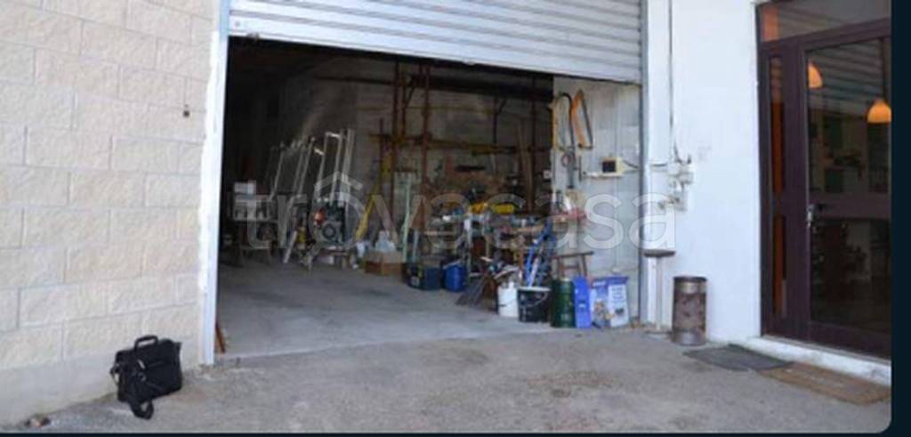 immagine annuncio 10 di 11