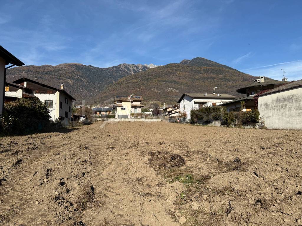 immagine annuncio 2 di 9