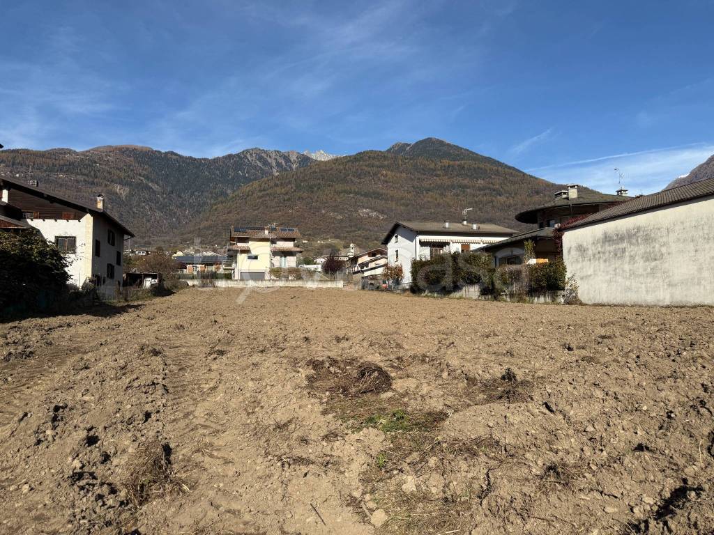 immagine annuncio 5 di 9