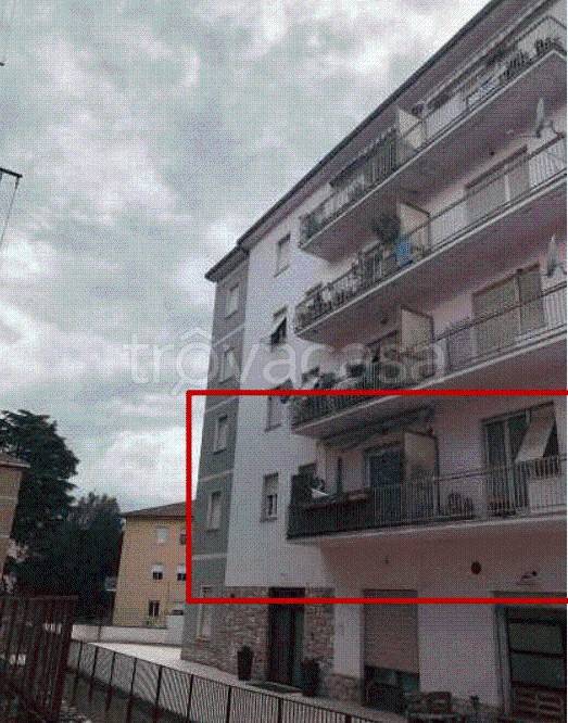 immagine annuncio 9 di 14