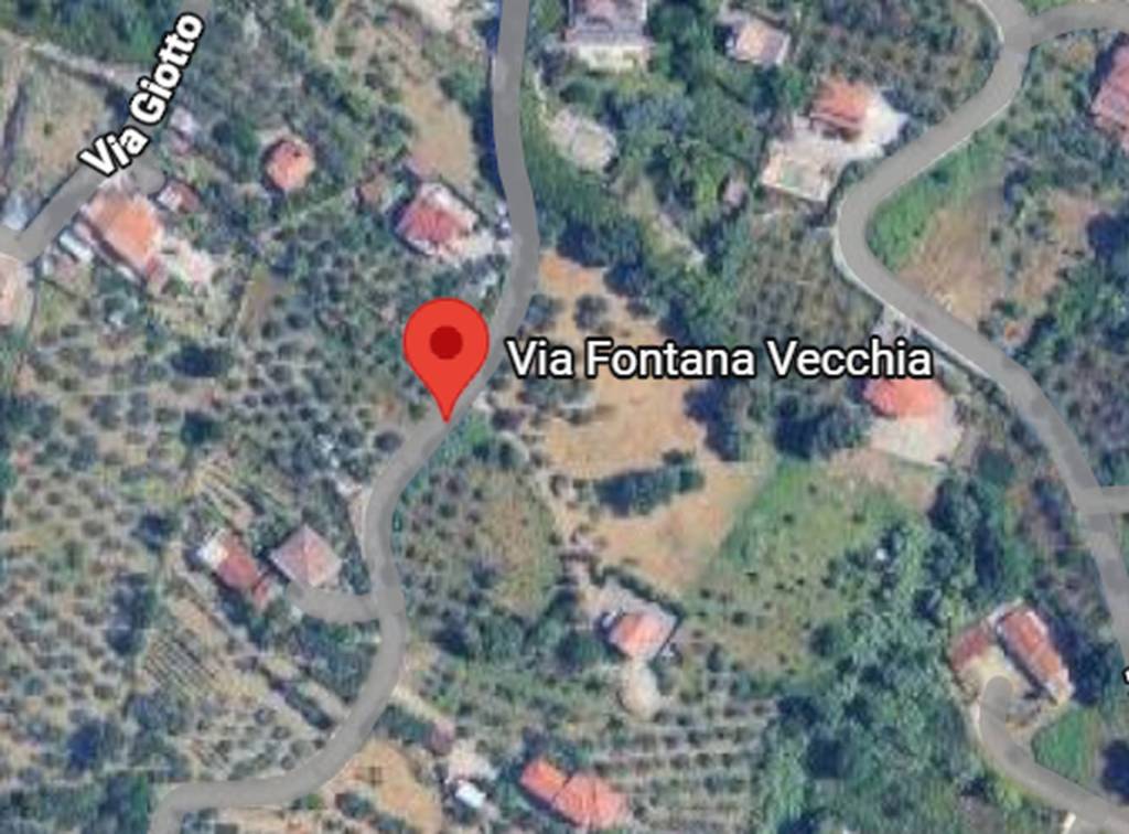 immagine annuncio 5 di 12