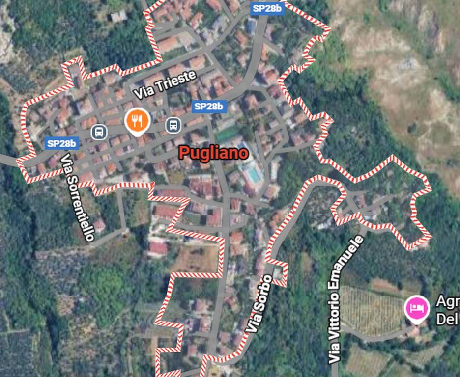 immagine annuncio 11 di 12