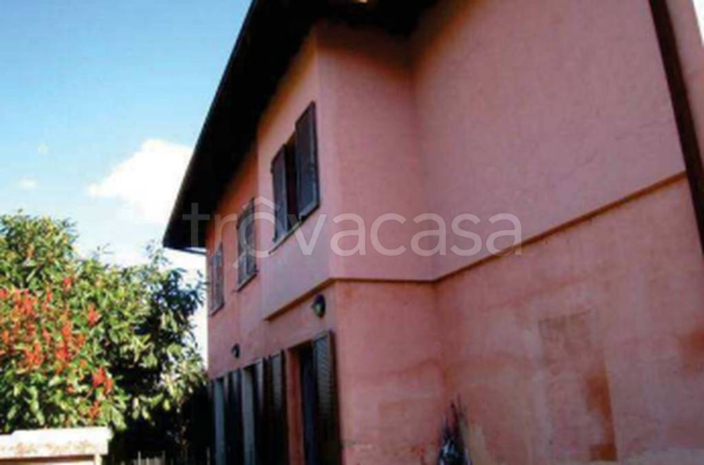 immagine annuncio 8 di 11