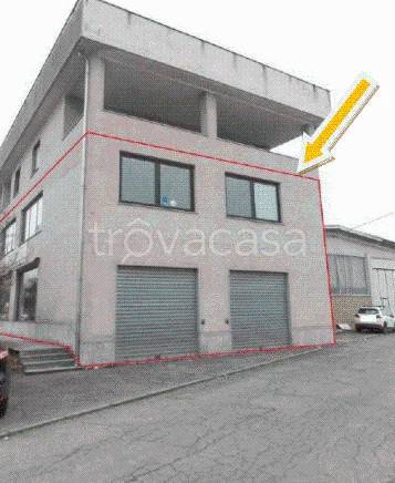 immagine annuncio 9 di 12