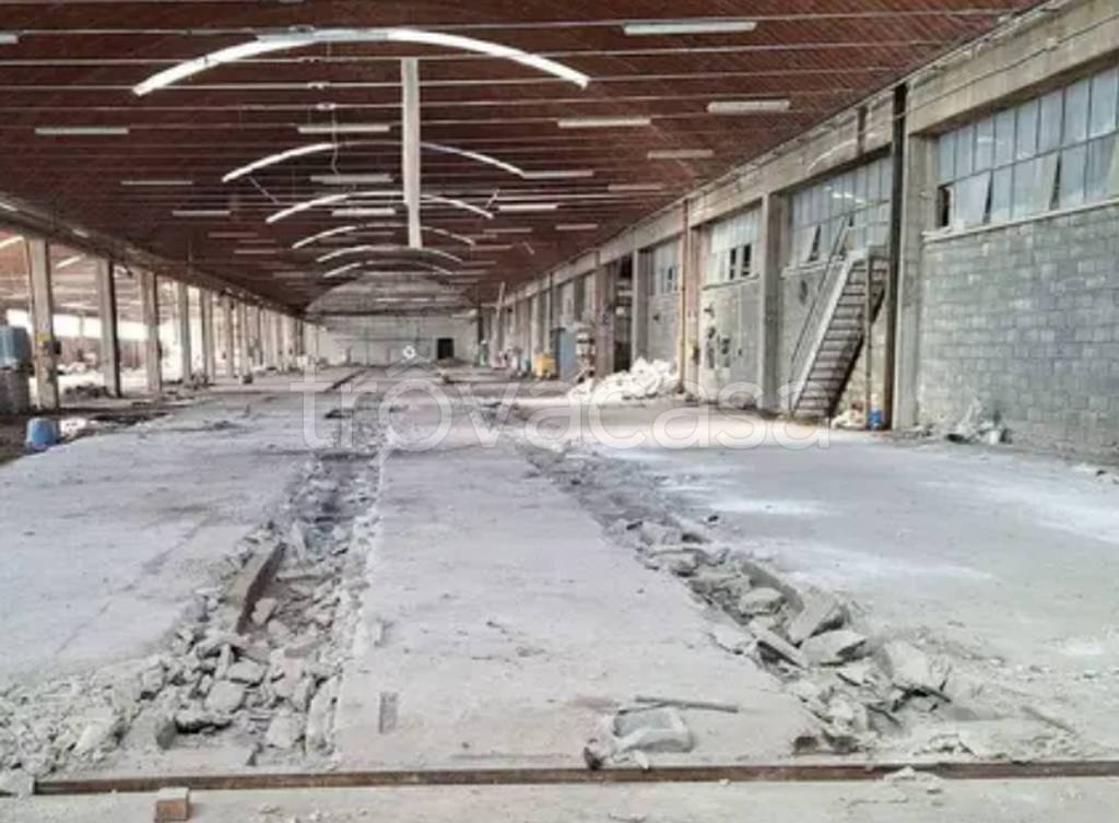 immagine annuncio 2 di 11