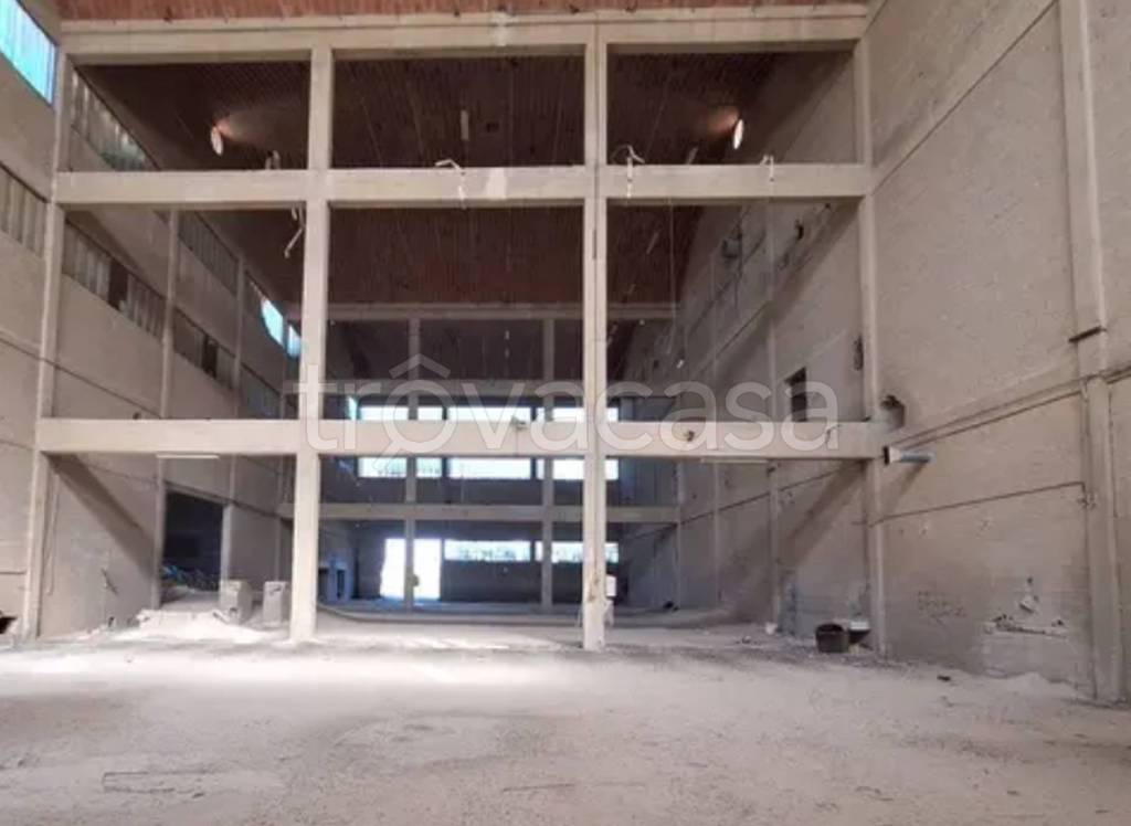 immagine annuncio 7 di 11