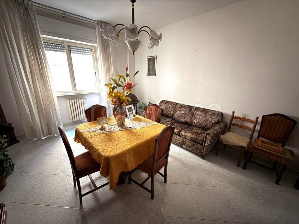 immagine annuncio 2 di 14