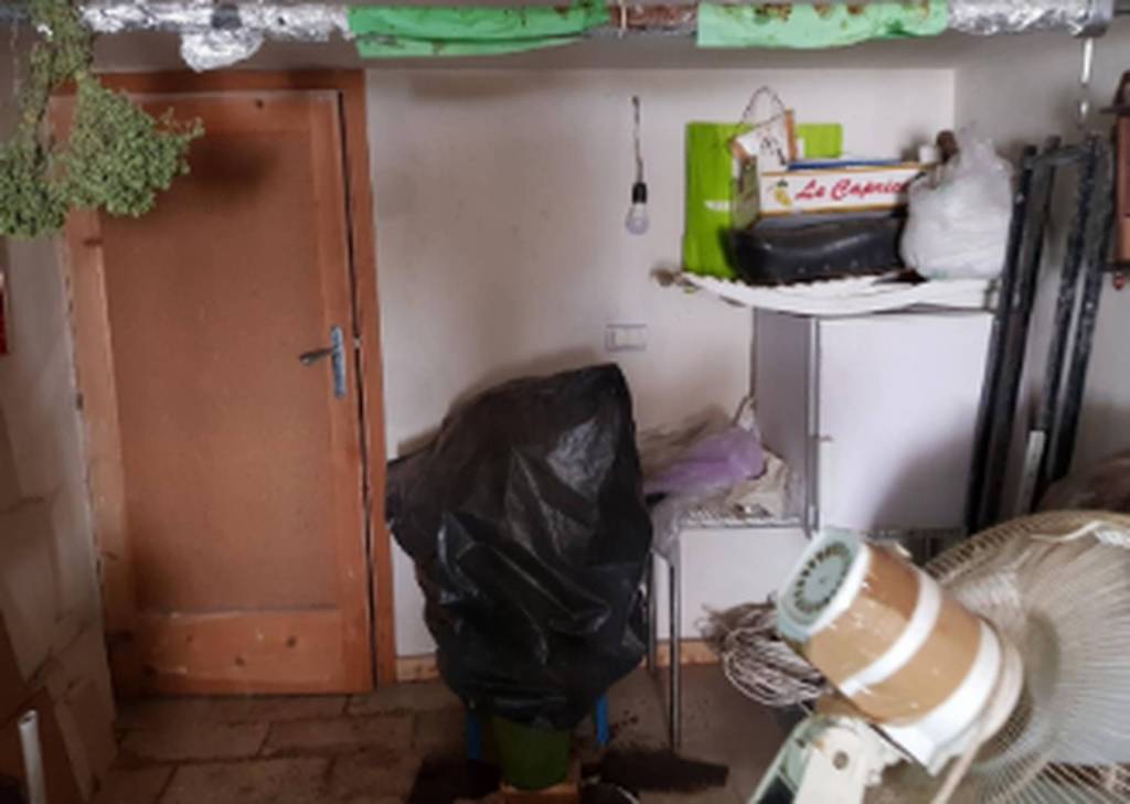 immagine annuncio 9 di 13