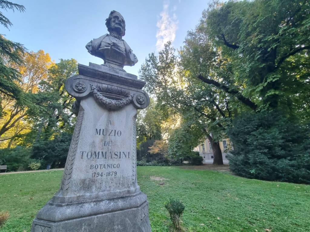 immagine annuncio 3 di 6