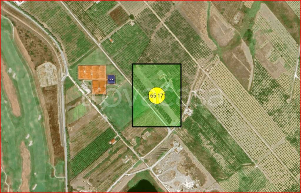 immagine annuncio 10 di 11