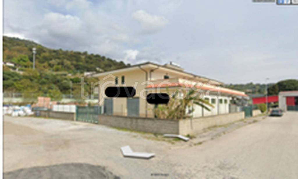 immagine annuncio 3 di 12