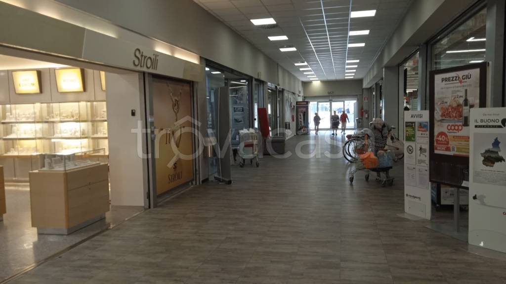 immagine annuncio 5 di 12