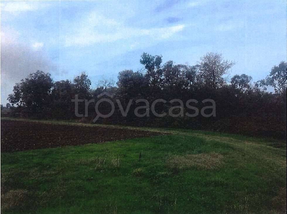 immagine annuncio 2 di 8