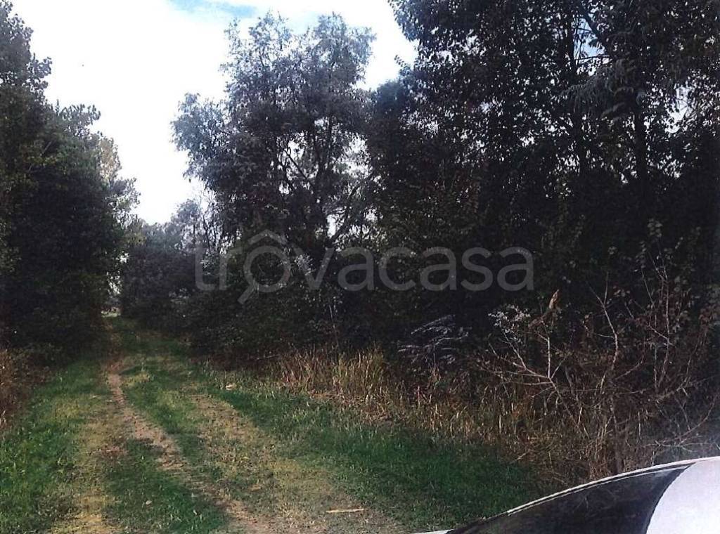 immagine annuncio 3 di 8