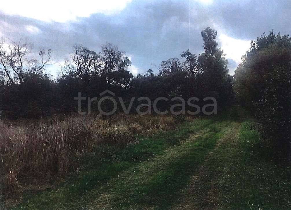 immagine annuncio 4 di 8