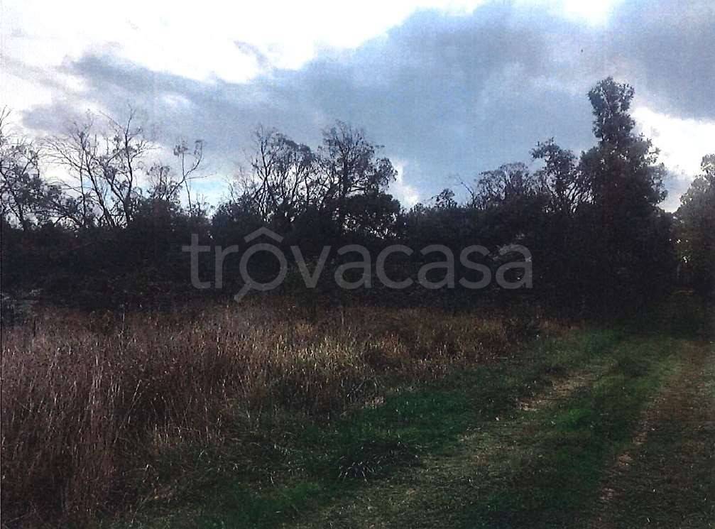 immagine annuncio 5 di 8