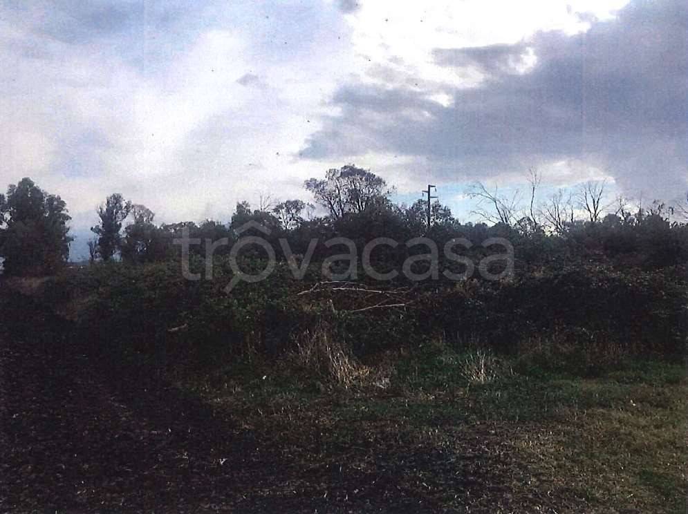 immagine annuncio 6 di 8