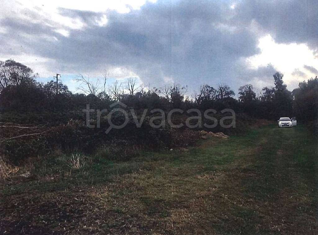 immagine annuncio 7 di 8