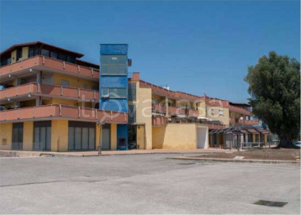 immagine annuncio 1 di 10