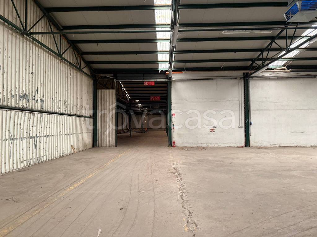 immagine annuncio 2 di 14