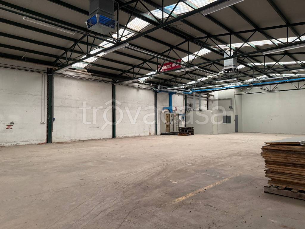 immagine annuncio 3 di 14