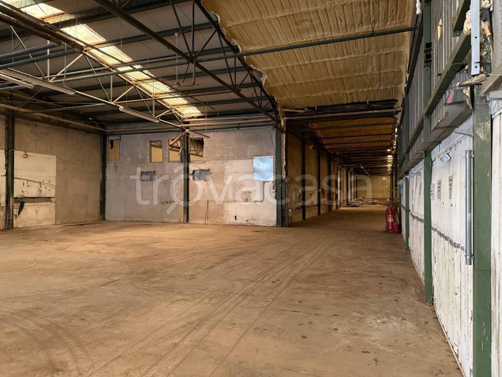 immagine annuncio 4 di 14