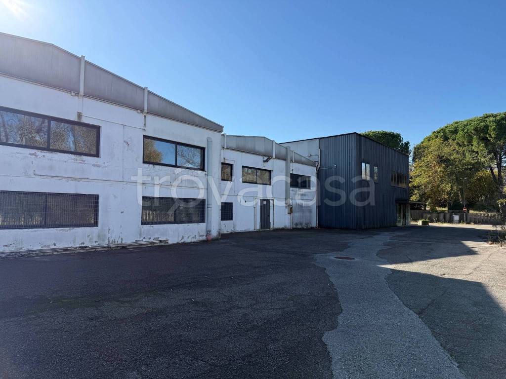 immagine annuncio 6 di 14