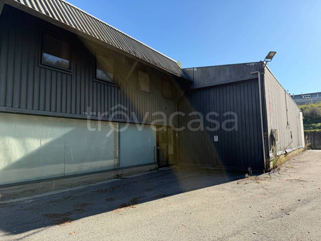 immagine annuncio 9 di 14