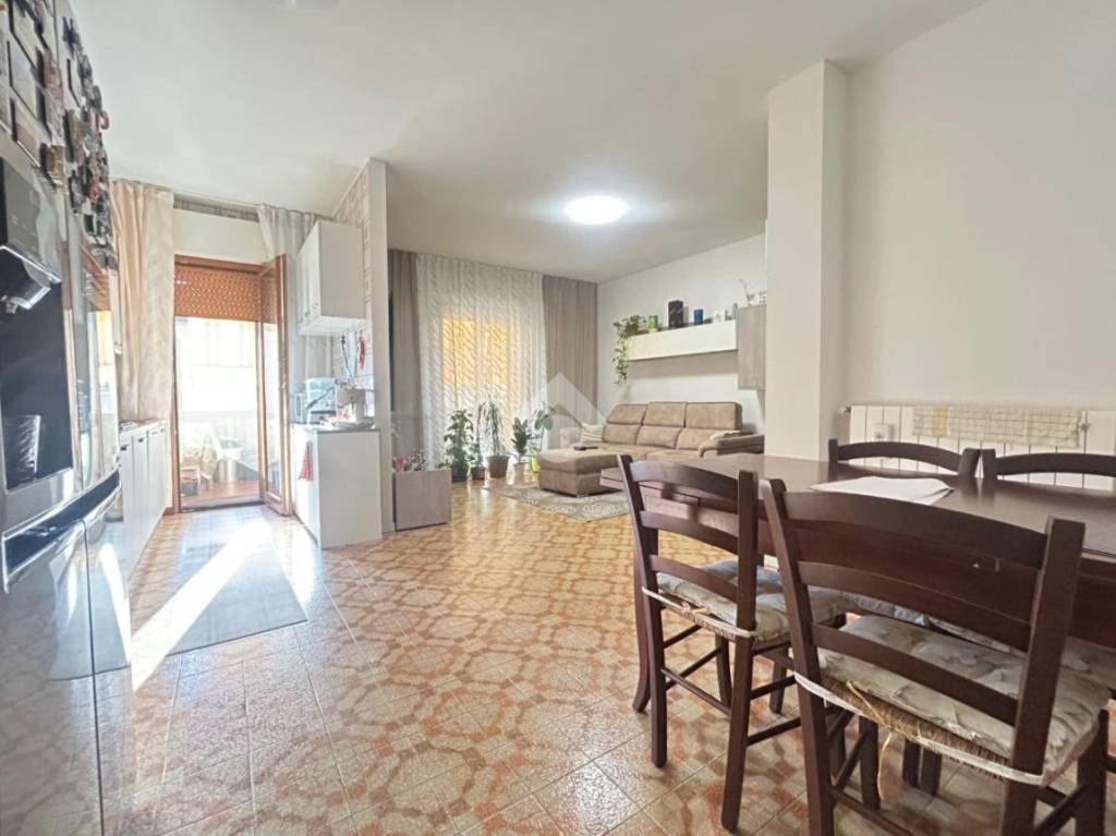 immagine annuncio 1 di 14