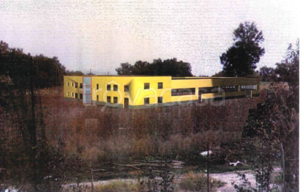 immagine annuncio 6 di 13