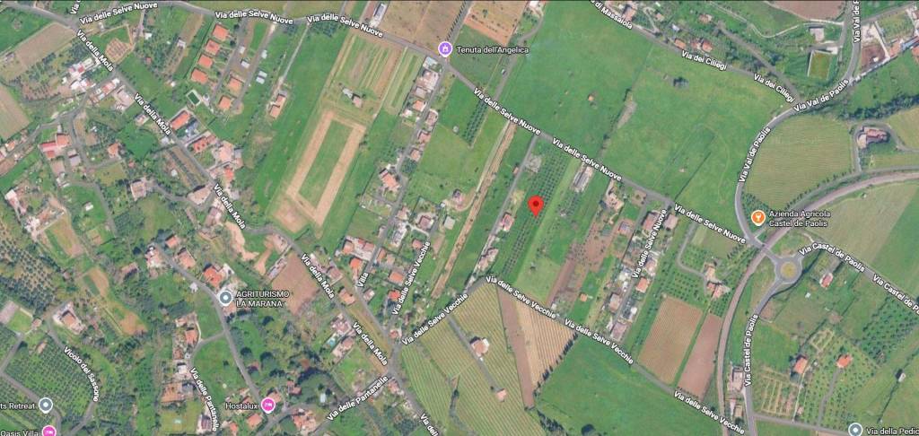 immagine annuncio 10 di 11