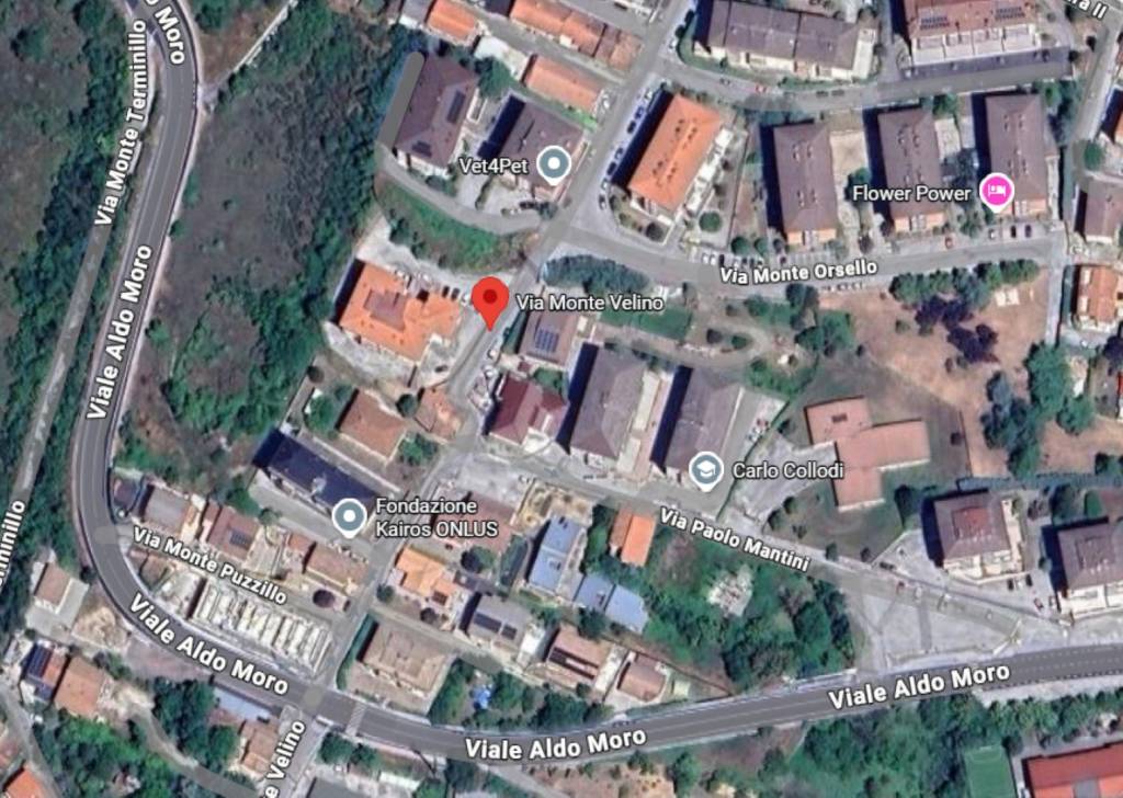 immagine annuncio 5 di 11