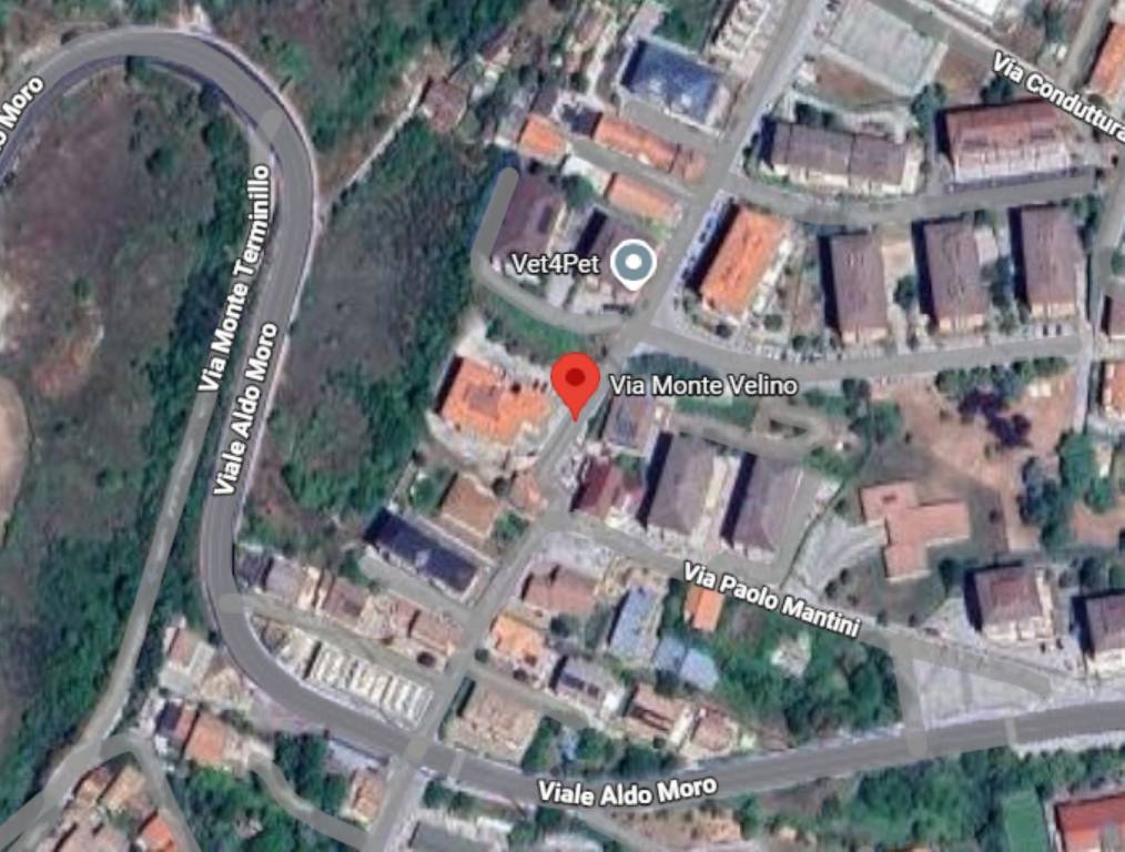 immagine annuncio 6 di 11