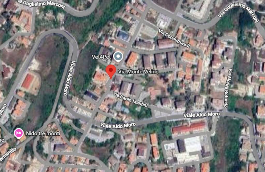 immagine annuncio 7 di 11