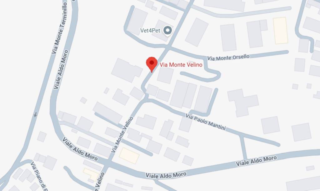 immagine annuncio 9 di 11