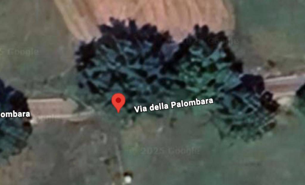 immagine annuncio 5 di 10