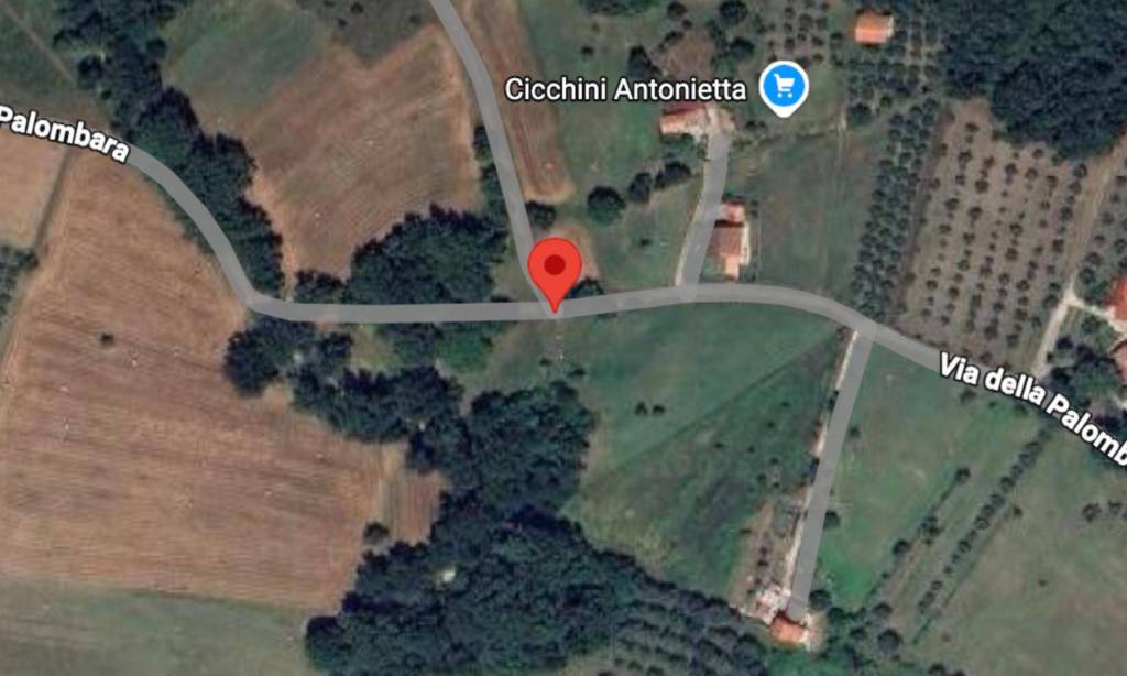 immagine annuncio 7 di 10