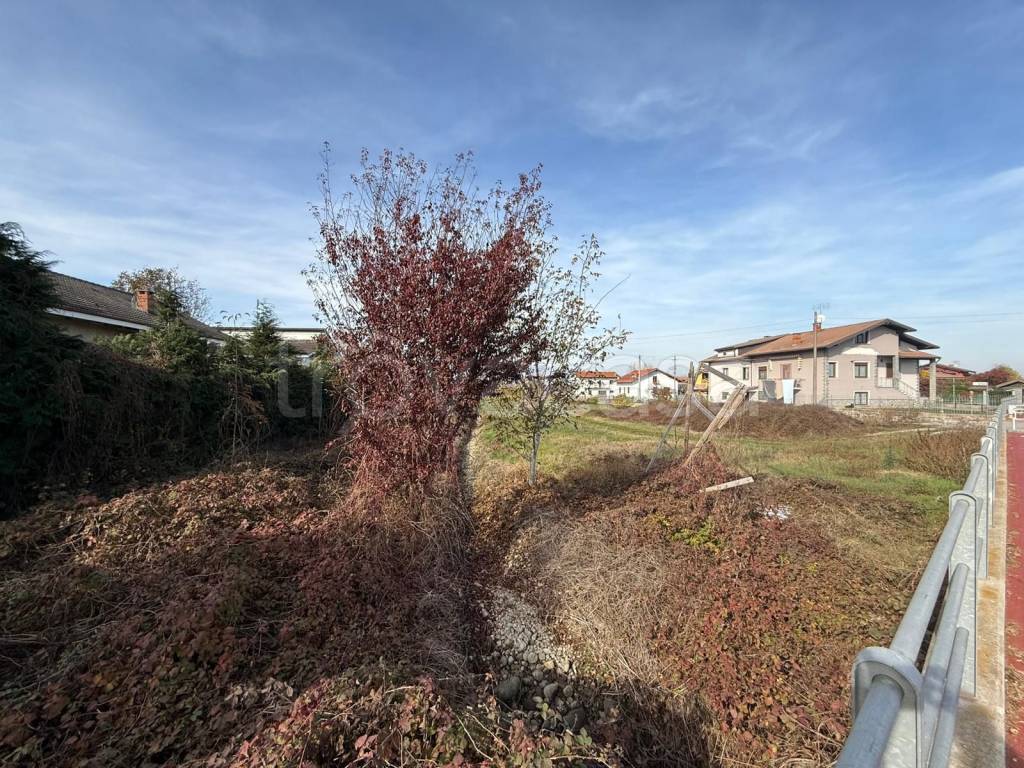 immagine annuncio 7 di 11