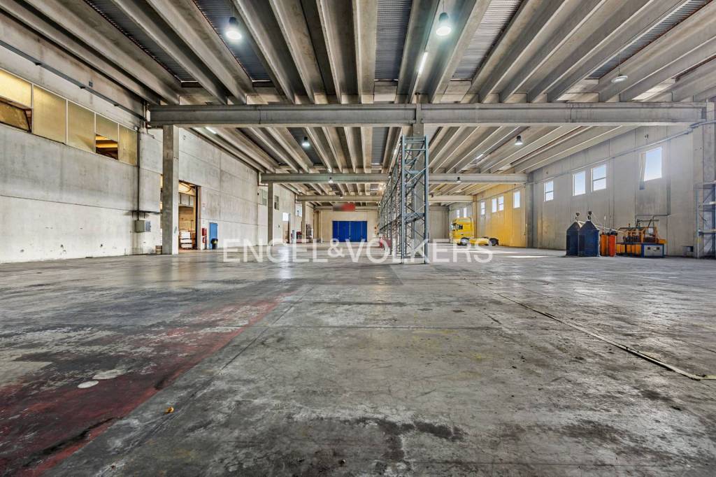 immagine annuncio 7 di 15